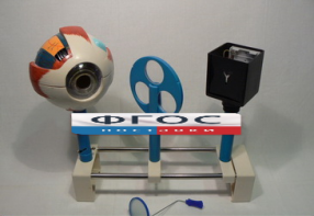 Модель "Зрение" (на батарейках) - fgospostavki.ru - Казань