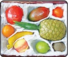 Набор муляжей тропических фруктов - fgospostavki.ru - Казань