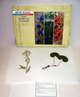 Гербарий "Ядовитые растения" (20 видов) - fgospostavki.ru - Казань