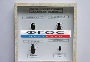 Коллекция энтомологическая "Приспособительные изменения в конечностях насекомых" - fgospostavki.ru - Казань