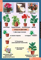 Комплект таблиц. Окружающий мир 1 класс. - fgospostavki.ru - Казань