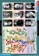 Комплект таблиц. Биология. Введение в экологию. - fgospostavki.ru - Казань