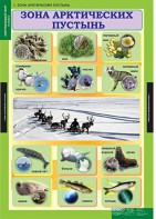 Комплект таблиц. Окружающий мир 4 класс. - fgospostavki.ru - Казань