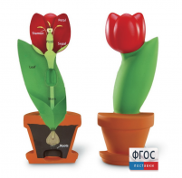 Модель цветка - fgospostavki.ru - Казань