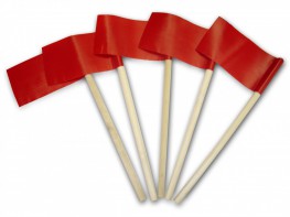 Флажок эстафетный - fgospostavki.ru - Казань