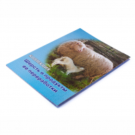 Коллекция "Шерсть и продукты ее переработки" - fgospostavki.ru - Казань