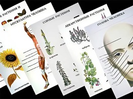 Таблицы по природоведению 1-3 класс (46 штук, формат А2) - fgospostavki.ru - Казань