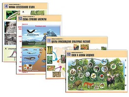 Комплект таблиц по биологии демонстрационных "Общая биология 2" (14 таблиц, формат А1, ламинированные) - fgospostavki.ru - Казань