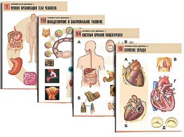 Комплект таблиц по биологии демонстрационных "Человек и его здоровье 1" (20 таблиц, формат А1, ламинированные) - fgospostavki.ru - Казань