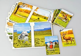 Настольно-печатная игра "Вокруг света" - fgospostavki.ru - Казань