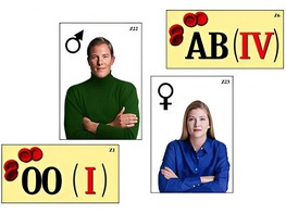 Модель-аппликация "Генетика групп крови" (ламинированная) - fgospostavki.ru - Казань