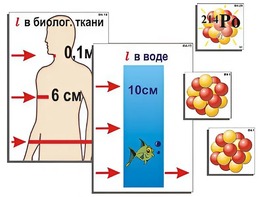 Модель-аппликация "Явление радиоактивности" (ламинированная) - fgospostavki.ru - Казань