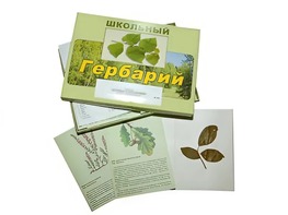 Гербарий "Дикорастущие растения" (30 видов, с иллюстрациями) - fgospostavki.ru - Казань