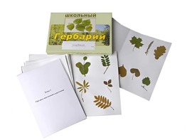 Гербарий "Морфология растений" (6 тем, 30 видов) - fgospostavki.ru - Казань