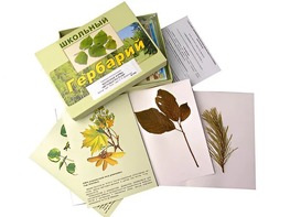 Гербарий "Жизненные формы цветковых растений" (раздаточный) - fgospostavki.ru - Казань
