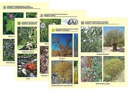 Гербарий фотографический по географии - fgospostavki.ru - Казань