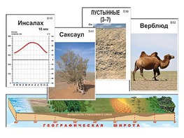 Модель-аппликация "Природные зоны" - fgospostavki.ru - Казань