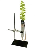 Прибор для демонстрации всасывания воды корнями - fgospostavki.ru - Казань