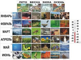 Фенологические наблюдения - fgospostavki.ru - Казань