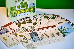 Гербарий к курсу основ общей биологии - fgospostavki.ru - Казань