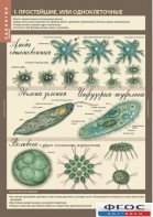 Комплект таблиц. Биология 7 класс. Животные. - fgospostavki.ru - Казань