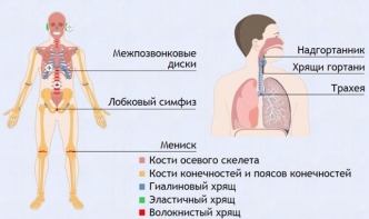 Интерактивные курсы. Биология 9 класс. Базовый. - fgospostavki.ru - Казань