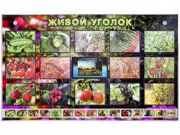 Комплект оборудования "Живой уголок" (растения) с тифлопереводом и сурдокомментариями - fgospostavki.ru - Казань