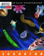 Зоология. Микрофотографии. (Цифровая база изображений) - fgospostavki.ru - Казань