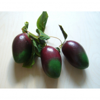 Ветка муляжей "Манго" - fgospostavki.ru - Казань