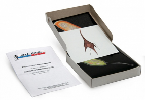 Модель-аппликация "Одноклеточные водоросли" (набор из 24 карт) - fgospostavki.ru - Казань