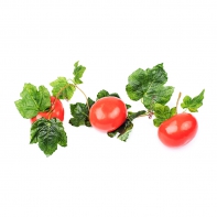 Ветка муляжей "Помидоры" - fgospostavki.ru - Казань