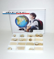 Коллекция "Древесные породы" - fgospostavki.ru - Казань