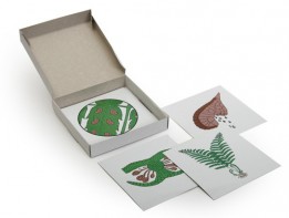 Модель-аппликация "Размножение папоротника" (набор из 8 карт) - fgospostavki.ru - Казань