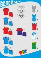 Форма волейбольная с длинными рукавами - fgospostavki.ru - Казань