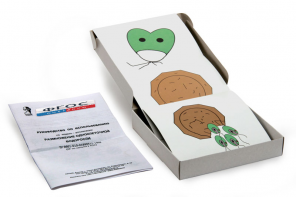 Модель-аппликация "Размножение одноклеточной водоросли" (набор из 11 карт) - fgospostavki.ru - Казань