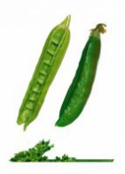 Комплект карточек "Запоминай, играй, считай" - Овощи - fgospostavki.ru - Казань