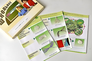 Коллекция "Шелк" (начальная школа) - fgospostavki.ru - Казань