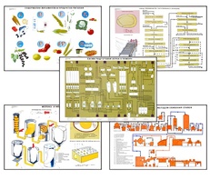 Плакаты ПРОФТЕХ "Сырье и материалы хлебопекарного производства" (20 пл, винил, 70х100) - fgospostavki.ru - Казань