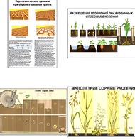 Плакаты ПРОФТЕХ "Агрономия" (5 пл, винил, 70х100) - fgospostavki.ru - Казань