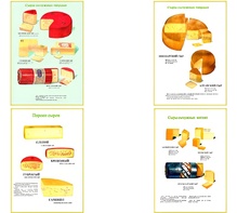 Плакаты ПРОФТЕХ "Ассортимент сыров" (9 пл, винил, 70х100) - fgospostavki.ru - Казань
