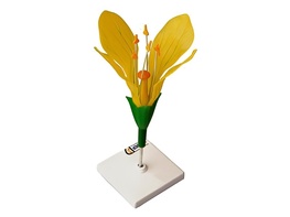 Модель цветка капусты - fgospostavki.ru - Казань