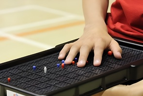 Сетка для игры тактильная (Бочча) - fgospostavki.ru - Казань