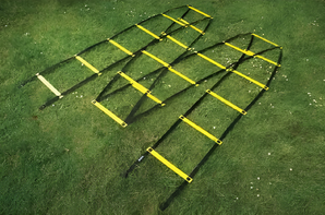 Лестница для тренировок (вариант 1) - fgospostavki.ru - Казань