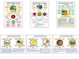 Плакаты ПРОФТЕХ "Плоды" (6 пл, винил, 70х100) - fgospostavki.ru - Казань