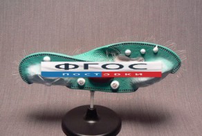 Модель "Инфузория-туфелька" - fgospostavki.ru - Казань