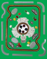 Модель-аппликация "Строение клетки" (набор из 54 пластмассовых фигур) - fgospostavki.ru - Казань