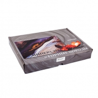 Коллекция "Минералы и горные породы" (20 видов) - fgospostavki.ru - Казань