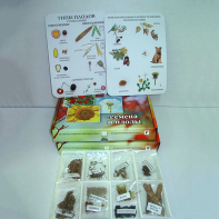 Коллекция "Семена и плоды с раздаточным материалом" - fgospostavki.ru - Казань