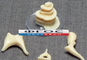 Модель "Косточки слуховые" - fgospostavki.ru - Казань