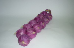 Муляжи "Связка лука" - fgospostavki.ru - Казань